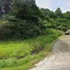 Mobile Home for Sale: 1996 Mobile Home
