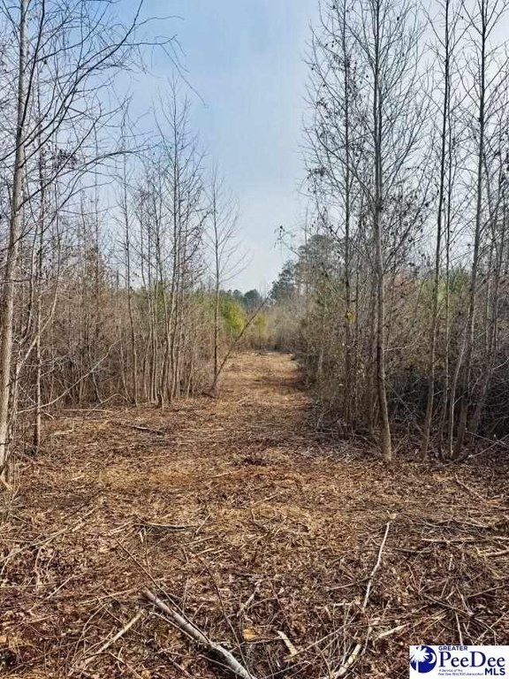 Photo of Mobile Home Lot