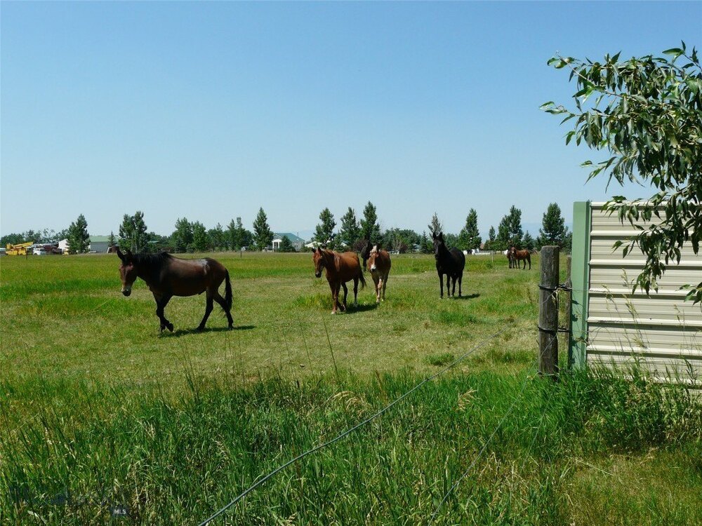 Photo of Mobile Home Lot