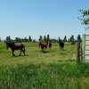 Photo of Mobile Home Lot