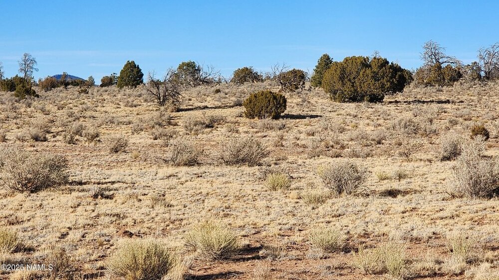 Photo of Mobile Home Lot