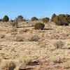 Photo of Mobile Home Lot