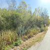 Mobile Home for Sale: 3 Bed 2 Bath 2000 Mobile Home