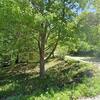Mobile Home for Sale: 2017 Mobile Home