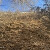Photo of Mobile Home Lot