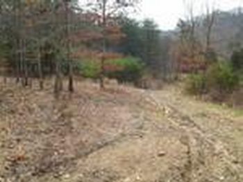 Photo of Mobile Home Lot