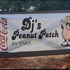 RV Park: DJ's Peanut Patch RV. Park, Elba, AL