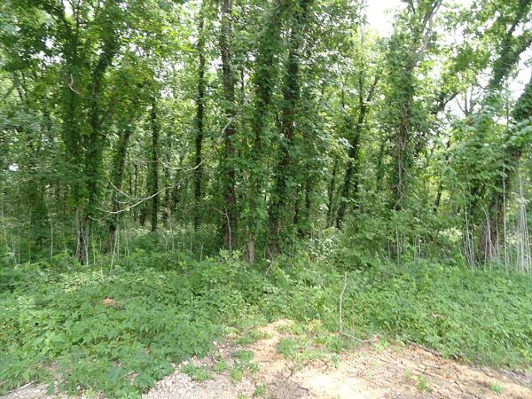 5 acres for RV Park