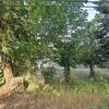 Mobile Home for Sale: 3 Bed 1 Bath 1900 Mobile Home