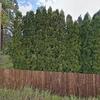 Mobile Home for Sale: 3 Bed 2 Bath 2005 Mobile Home