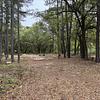 Mobile Home Lot for Sale: 5 Acres in Lexington County! Previous Mobile Home Site!, North, SC