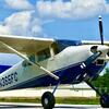 Aircraft for Sale: 1973 Cessna A185F Skywagon