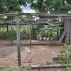 Mobile Home for Sale: Mobile,1 Story, Manufactured w/Land - MAUK, GA, Mauk, GA