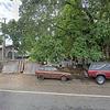 Mobile Home for Sale: 2 Bed 1 Bath 1950 Mobile Home