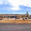 Mobile Home for Sale: 2 Bed 2 Bath 1975 Mobile Home
