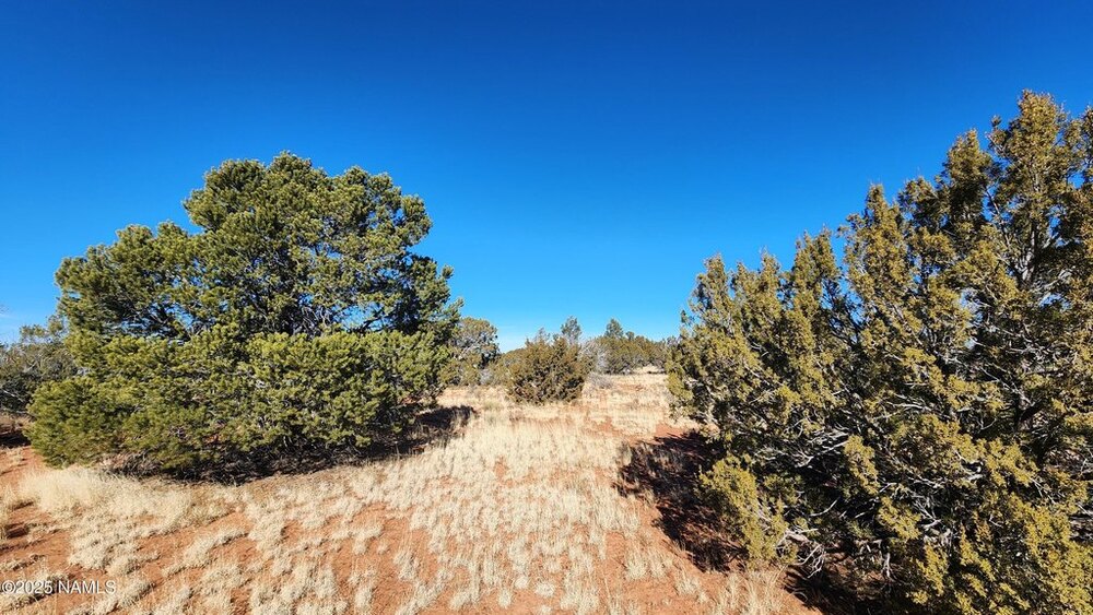 Photo of Mobile Home Lot