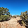 Photo of Mobile Home Lot