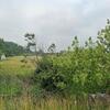 Mobile Home for Sale: 3 Bed 2 Bath 2003 Mobile Home