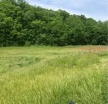 Photo of Mobile Home Lot