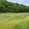 Photo of Mobile Home Lot