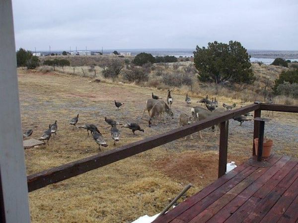 Photo of RV Park/Campground