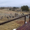 Photo of RV Park/Campground