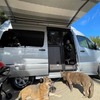 RV for Sale: 2023 INTERSTATE 19 4X4