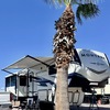 RV for Sale: 2021 MONTANA