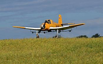 Thumbnail of aircraft