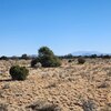 Photo of Mobile Home Lot