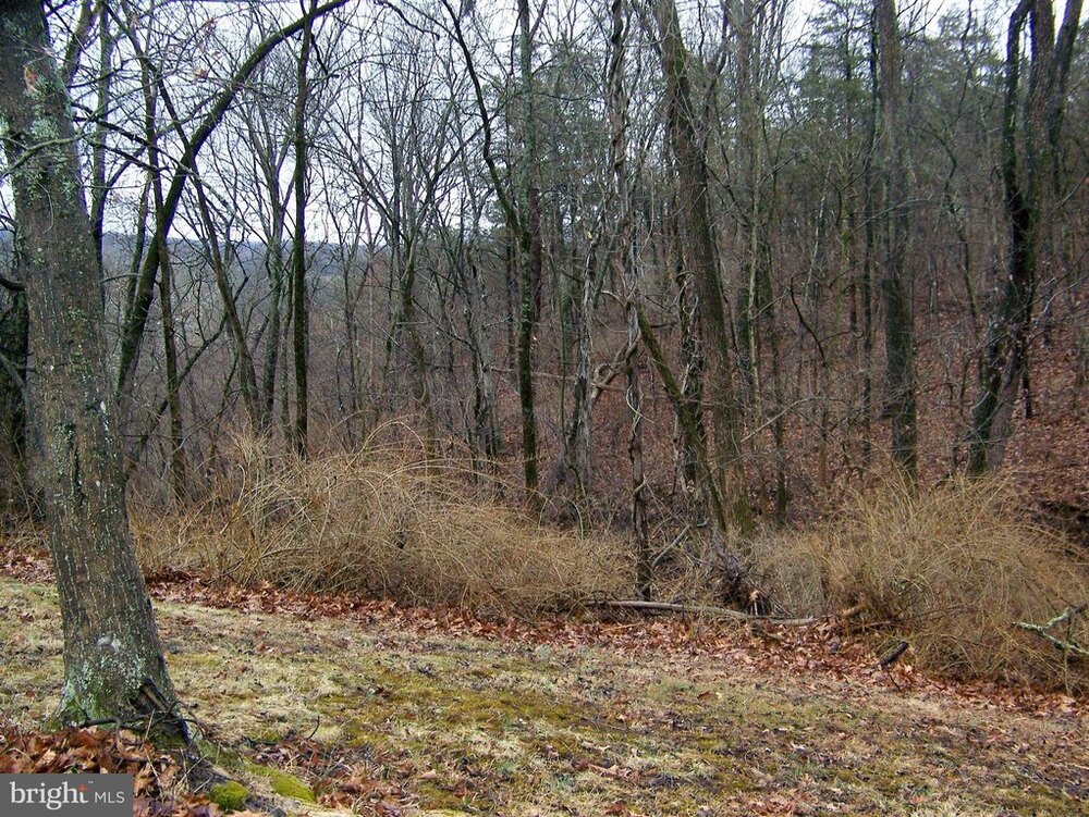 Photo of Mobile Home Lot