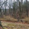 Photo of Mobile Home Lot