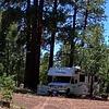 RV for Sale: 2018 FOUR WINDS MAJESTIC 28A