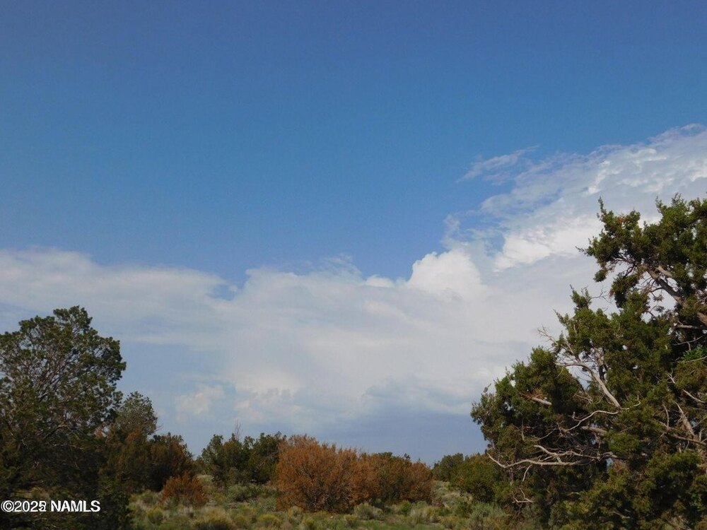Photo of Mobile Home Lot