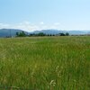 Photo of Mobile Home Lot