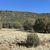 Photo of Mobile Home Lot