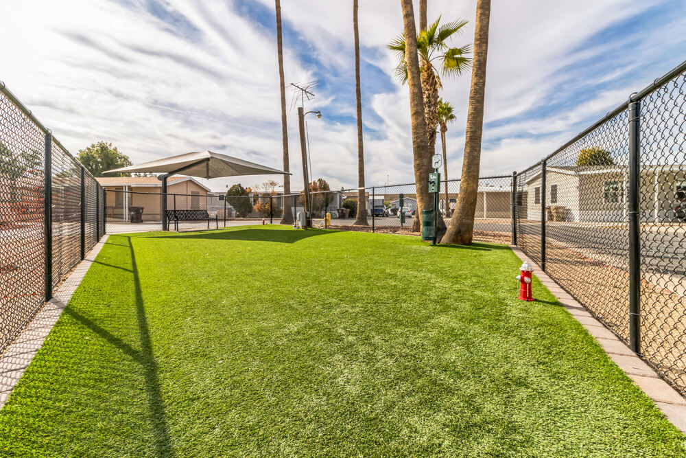 2048x1365 10810 N 91st Ave  Peoria  AZ 85345  USA ThuJan1820241705551649730.JPG