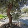 Mobile Home for Sale: 3 Bed 2 Bath 1980 Mobile Home