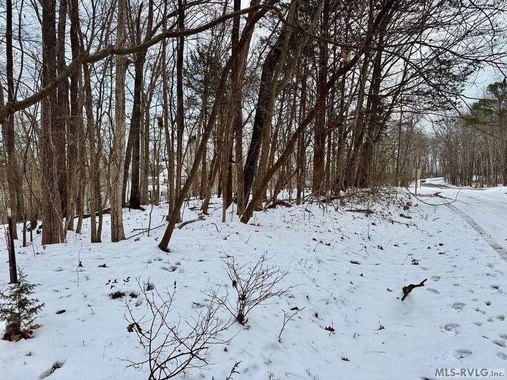 Photo of Mobile Home Lot