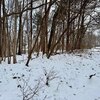 Photo of Mobile Home Lot
