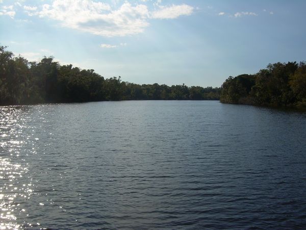 Down the river