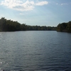 Down the river