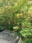 Photo of Mobile Home Lot
