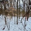 Photo of Mobile Home Lot