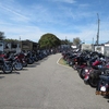 Bike Week Motorycycle Parking