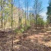 Photo of Mobile Home Lot