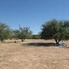 Mobile Home Lot for Sale: 1.05 acre Lot