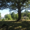 Photo of RV Lot