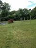 Photo of Mobile Home Lot