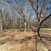 Photo of Mobile Home Lot